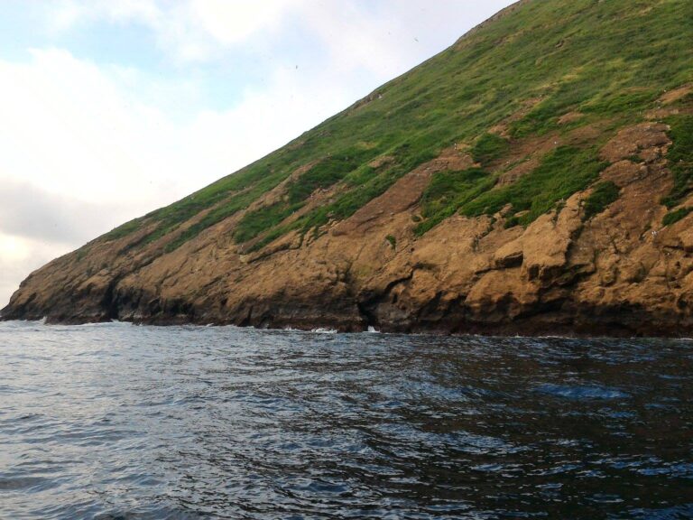 Snorkeling With Dolphins: Immerse yourself in the wonders of the sea and embark on an extraordinary adventure to encounter the magnificent dolphins of the Azores.